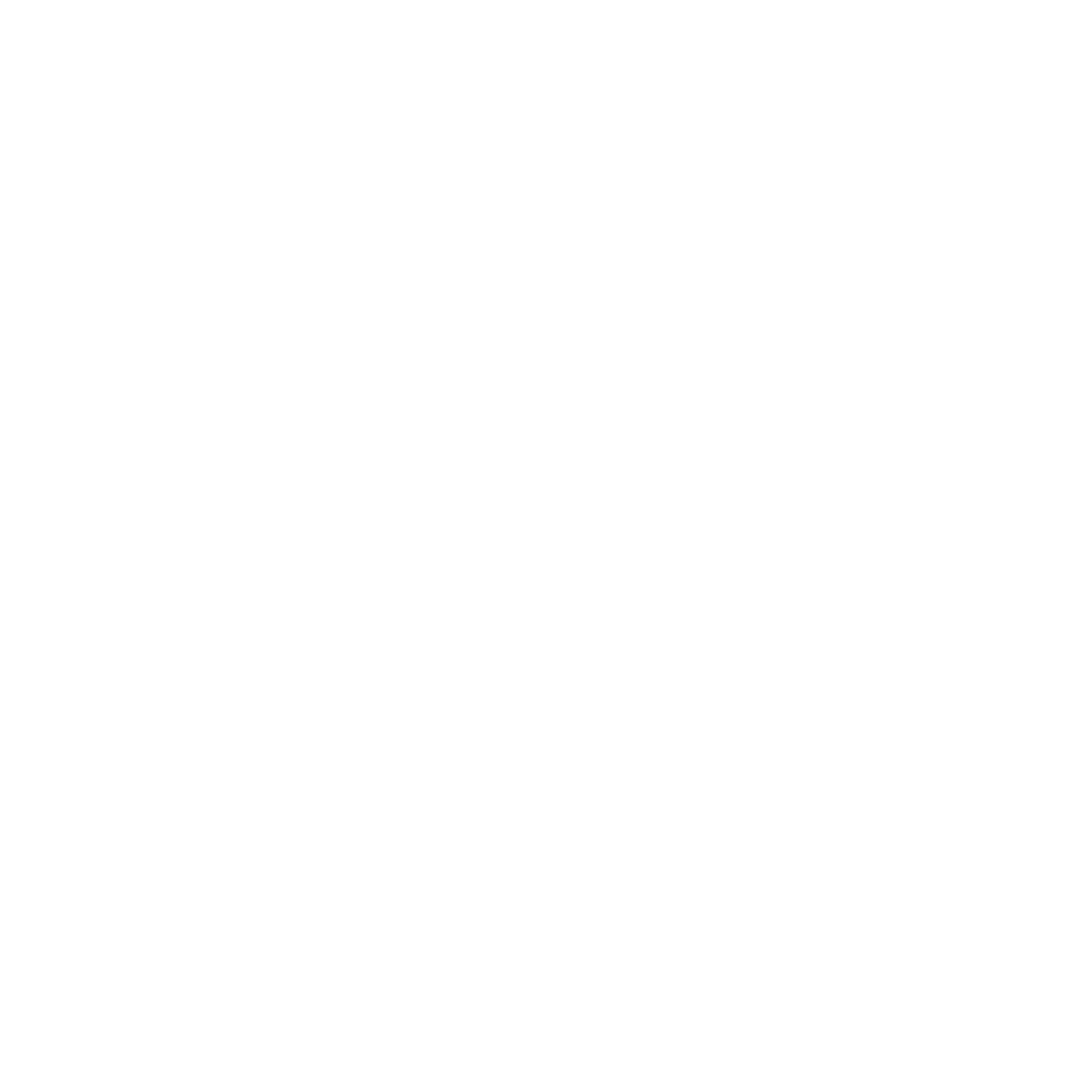 Bubl White Logo